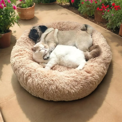 Skorter | SLUMBERPAWS BED – Calming Dog Bed for Deep, Restful Sleep