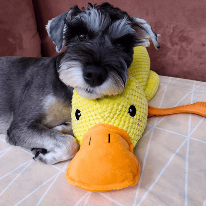 Skorter | Calming duck for dogs