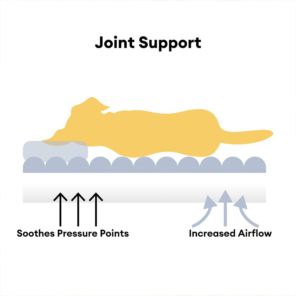 Skorter | CANILUX – Orthopedic Dog Bed with Raised Headrest & Soft Cushion