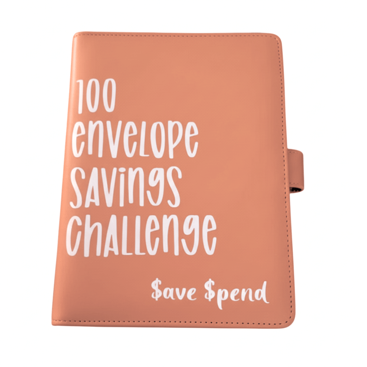 Skorter | CASHSAVVY – 100 Envelope Challenge Budget Binder for Family Savings
