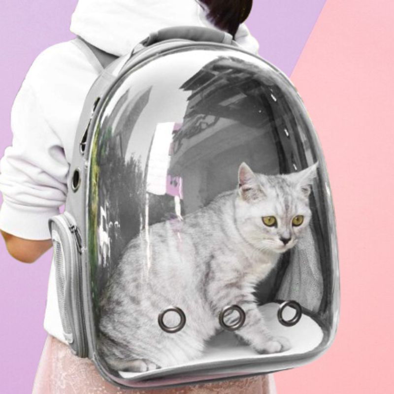 Skorter | Breathable Space Capsule Pet Carrier for Cats and Dogs