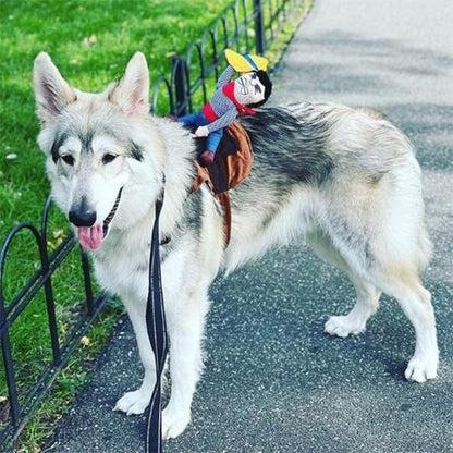 Skorter | The Cowboy Rider Dog Costume