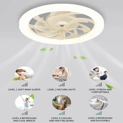 Skorter | Modern Ceiling Fan with LED Lights