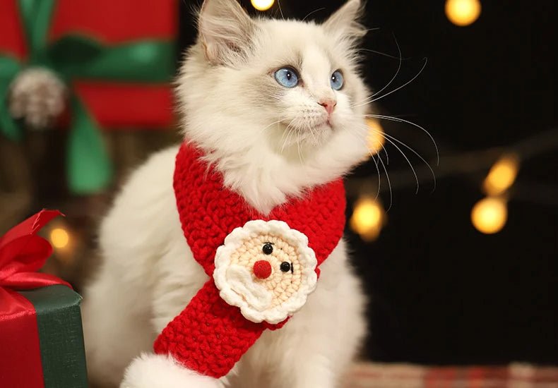 Skorter | Christmas Pet Scarf & Hat – Adorable Red Scarf for Kittens & Puppies, Perfect Holiday Gift & Festive Accessory