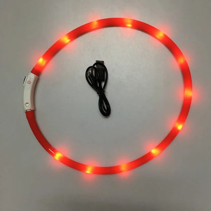 Skorter | LED Pet Collar