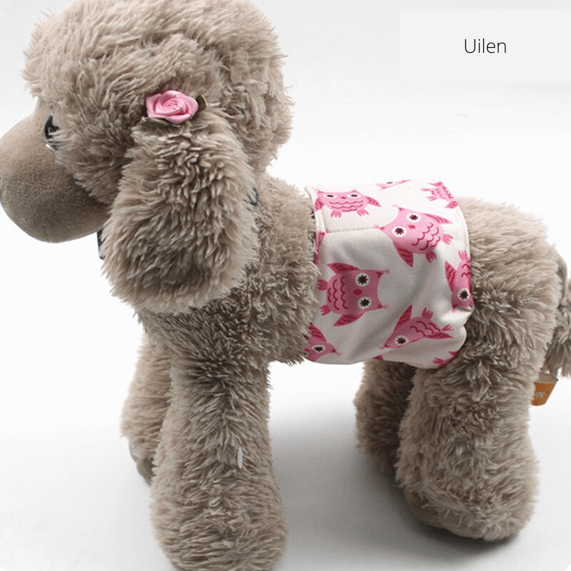 Skorter | PUPDRY Reusable – Leak-Proof Diaper for Incontinence and Training