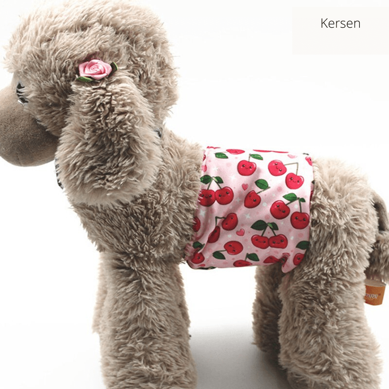 Skorter | PUPDRY Reusable – Leak-Proof Diaper for Incontinence and Training