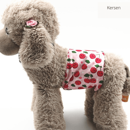 Skorter | PUPDRY Reusable – Leak-Proof Diaper for Incontinence and Training