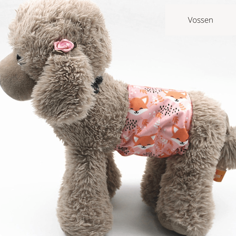 Skorter | PUPDRY Reusable – Leak-Proof Diaper for Incontinence and Training