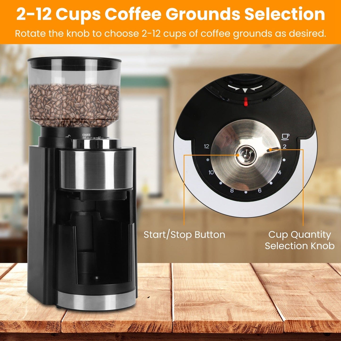 Skorter | Conical Drill Coffee Bean Electric Grinder with 25 Grind Settings