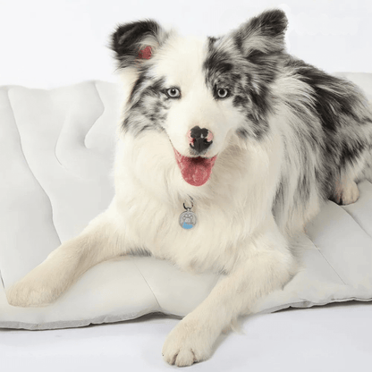 Skorter | CoolPaws Cooling Mat – Self-Cooling Dog Mat for Hot Summer Relief