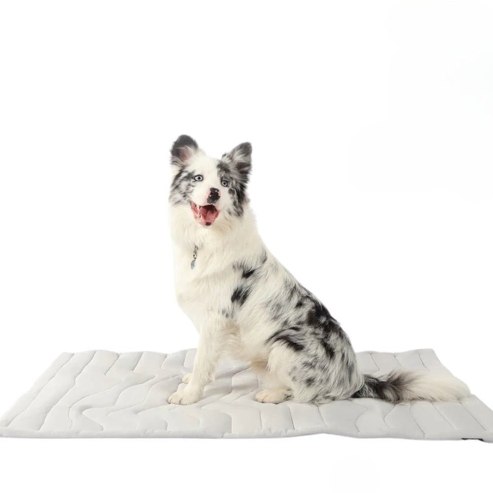 Skorter | CoolPaws Cooling Mat – Self-Cooling Dog Mat for Hot Summer Relief