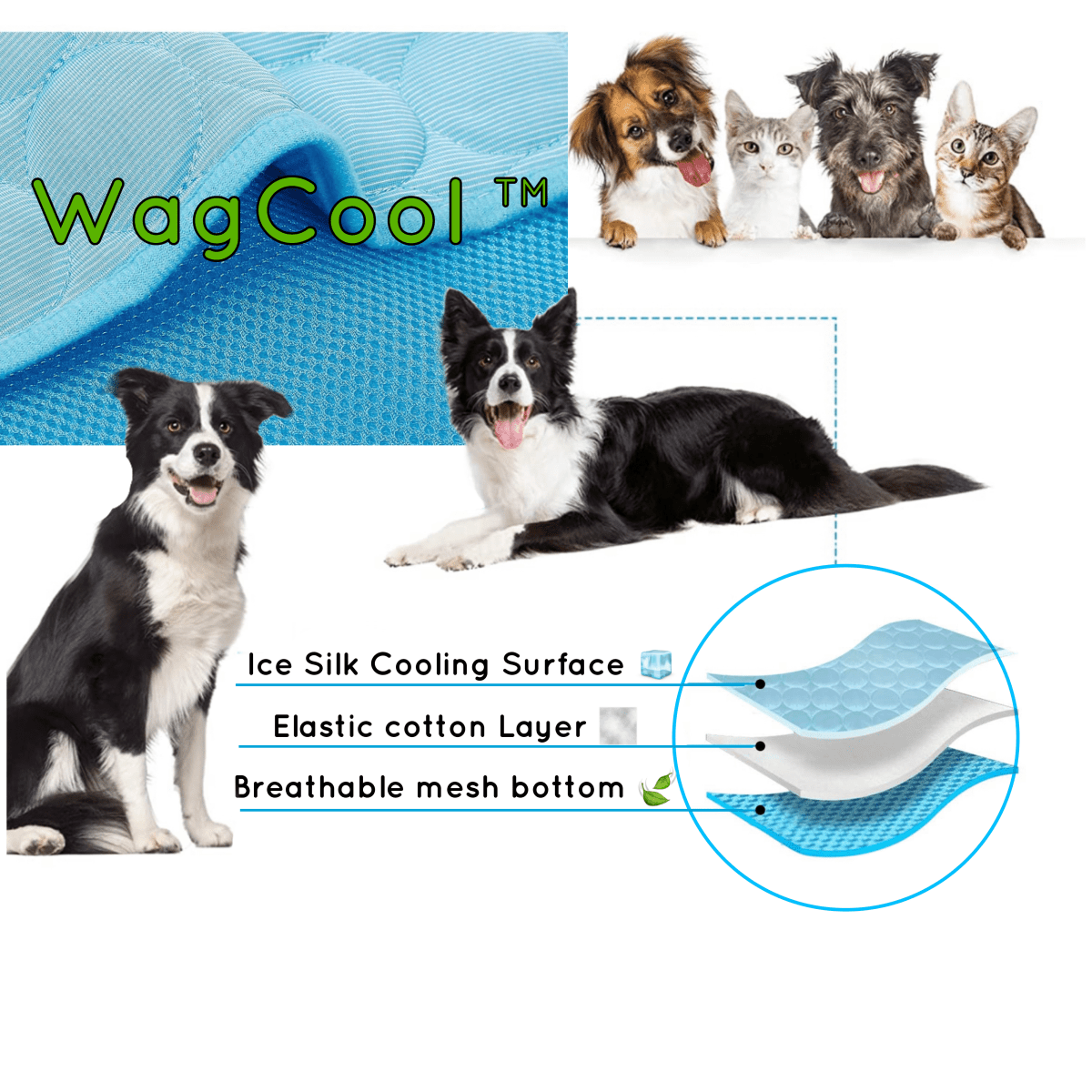 Skorter | COOLPET MAT – Pressure-Activated Cooling Dog Mat for Instant Comfort