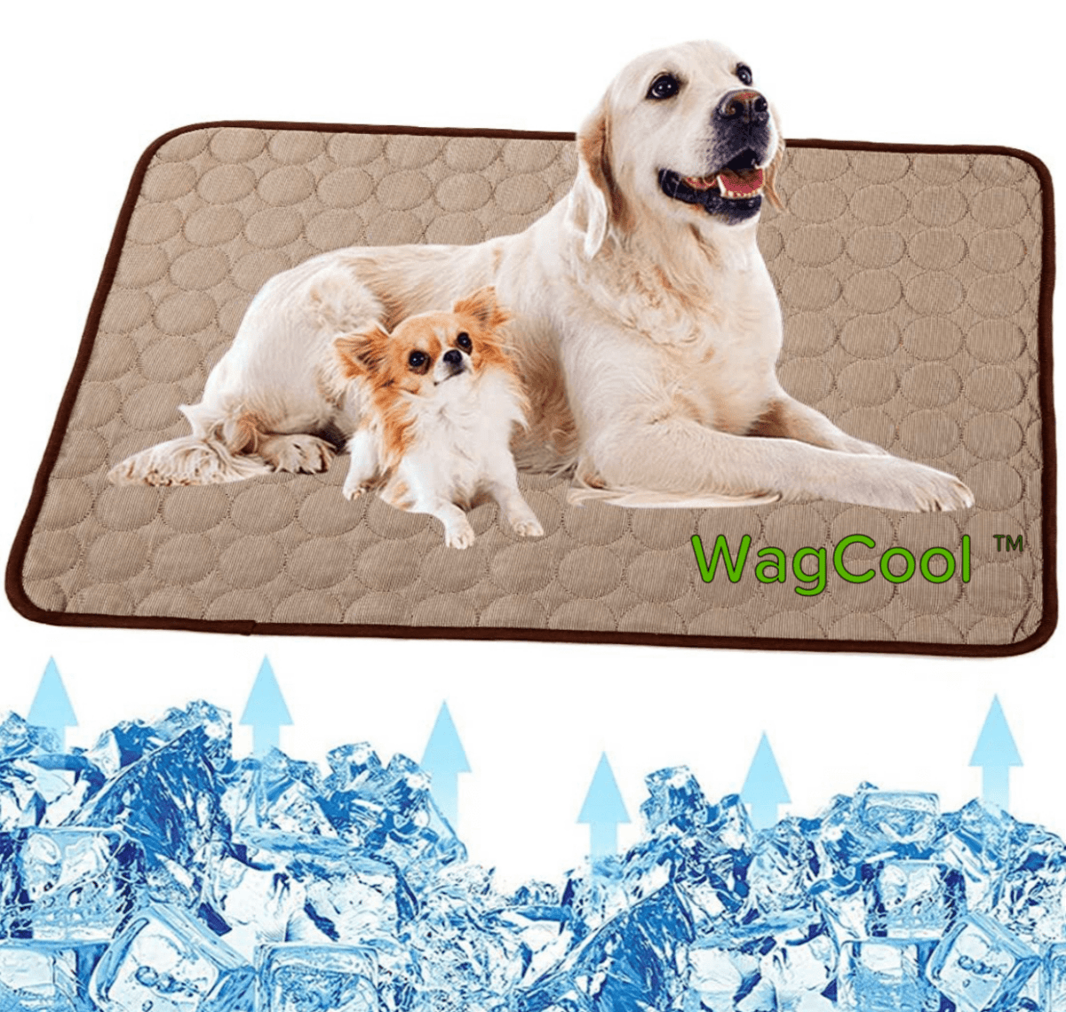 Skorter | COOLPET MAT – Pressure-Activated Cooling Dog Mat for Instant Comfort