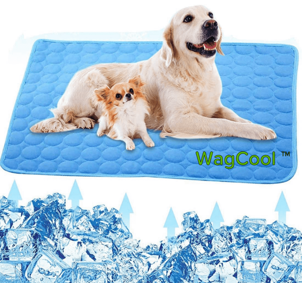 Skorter | COOLPET MAT – Pressure-Activated Cooling Dog Mat for Instant Comfort