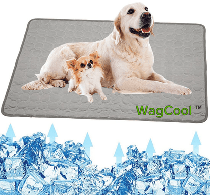 Skorter | COOLPET MAT – Pressure-Activated Cooling Dog Mat for Instant Comfort