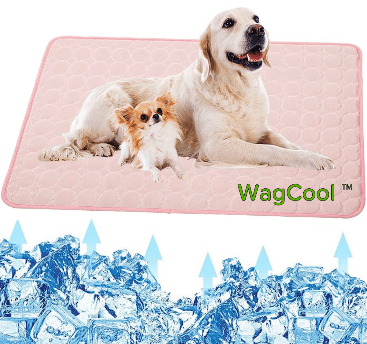 Skorter | COOLPET MAT – Pressure-Activated Cooling Dog Mat for Instant Comfort