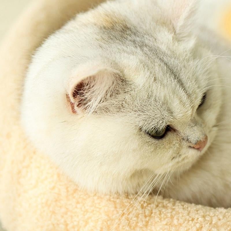 Skorter | COSYCAT Retreat – Stylish Cat Bed with Sisal Scratch Surface & Cushion