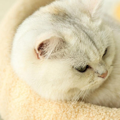 Skorter | COSYCAT Retreat – Stylish Cat Bed with Sisal Scratch Surface & Cushion