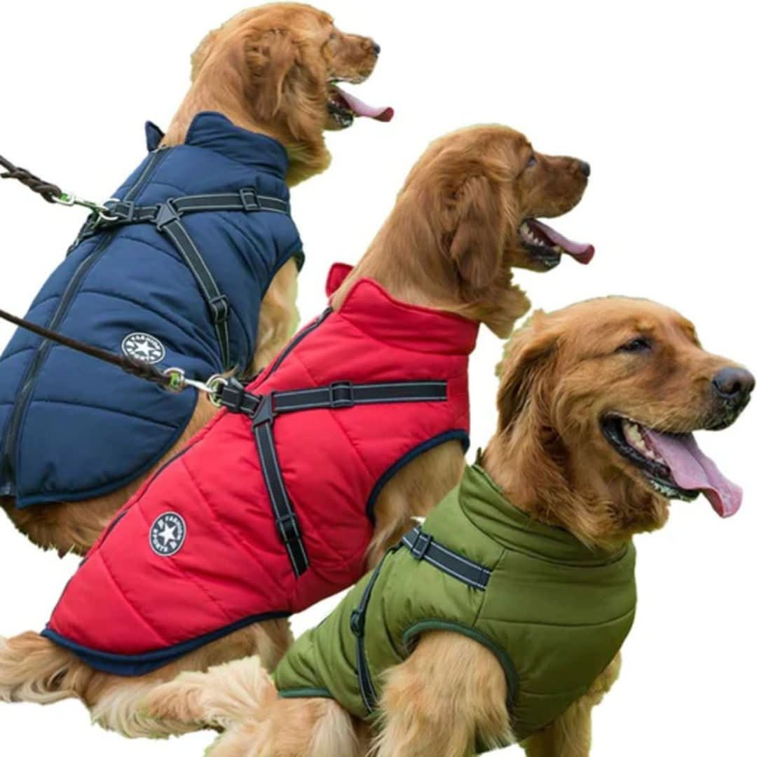Skorter | Cozybuddy | Waterproof Winter Jacket + Built-in Suspenders