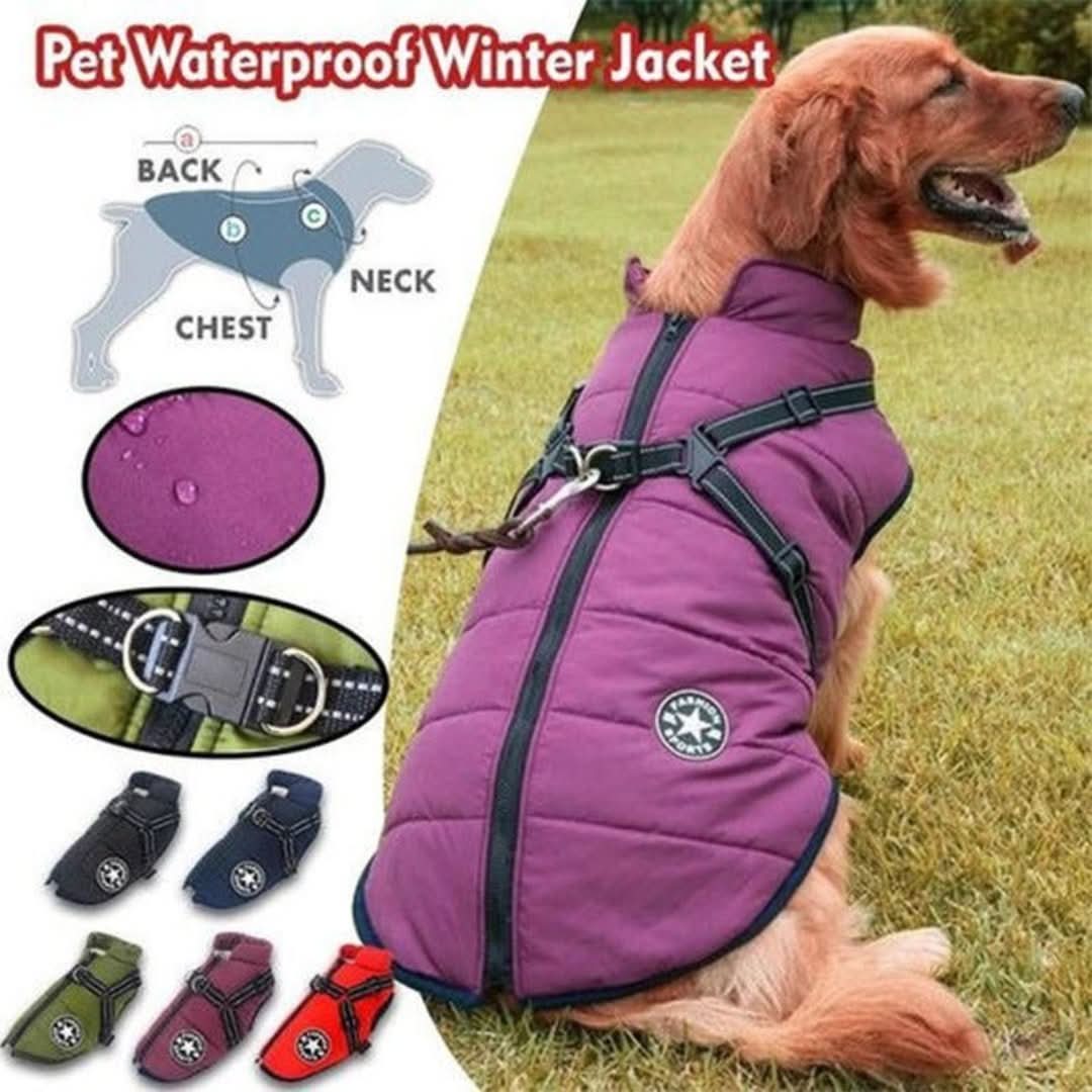 Skorter | Cozybuddy | Waterproof Winter Jacket + Built-in Suspenders