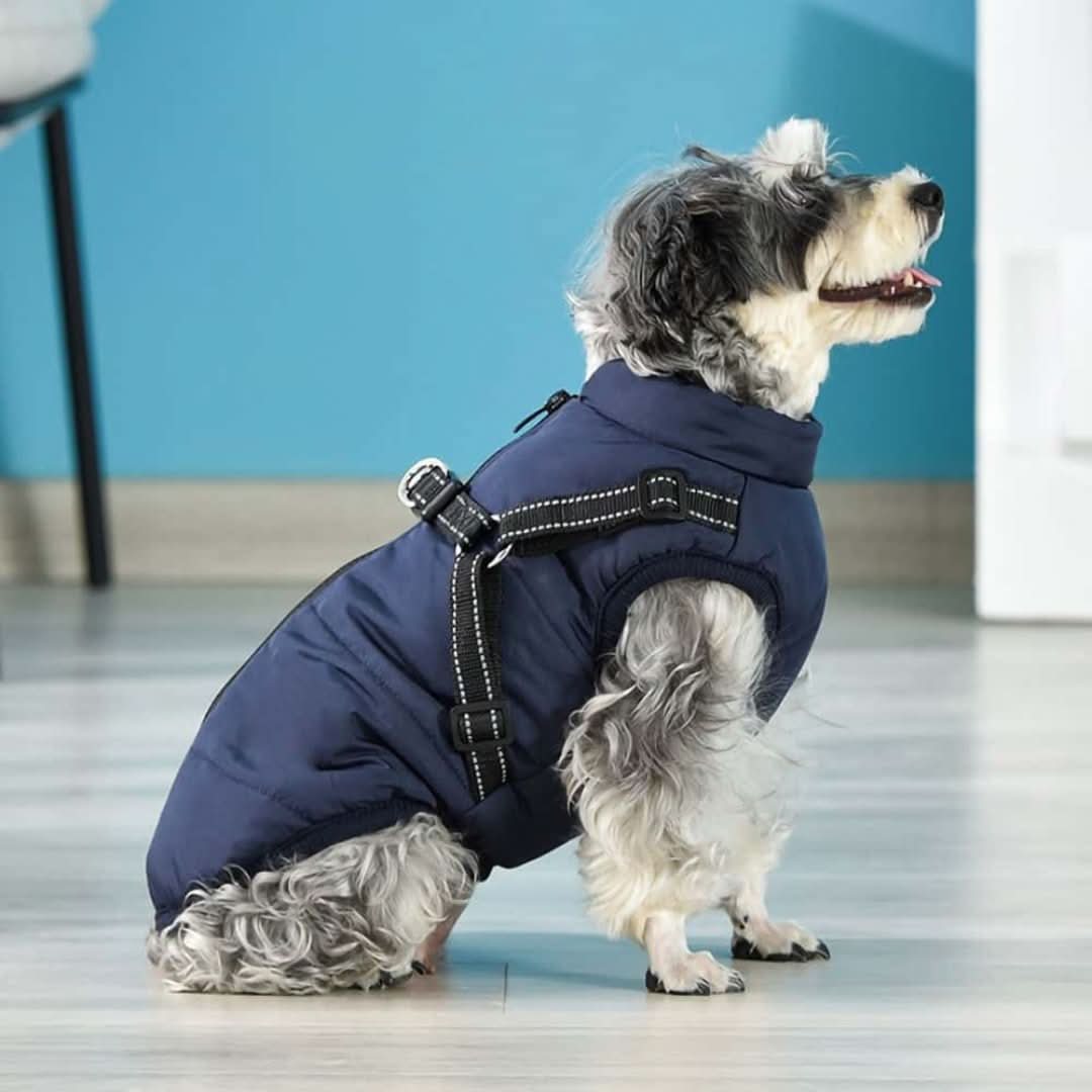 Skorter | Cozybuddy | Waterproof Winter Jacket + Built-in Suspenders