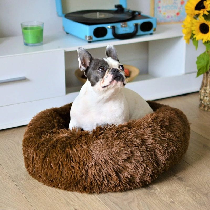 Skorter | COZYPET – Calming Dog Bed with Plush Faux Fur & Removable Cover