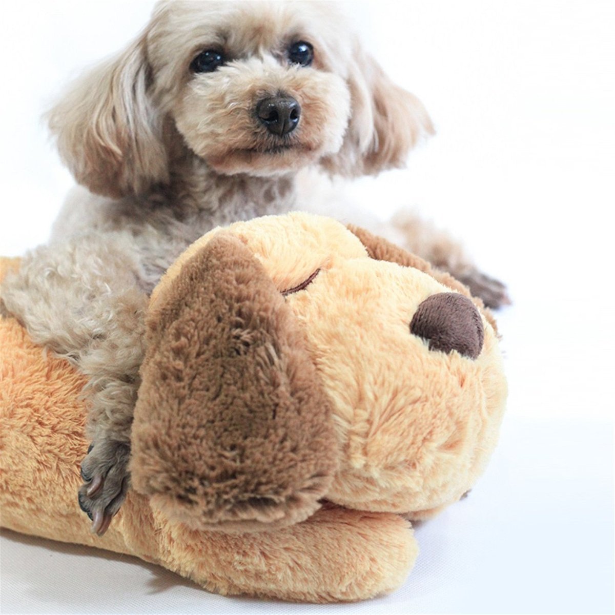 Skorter | CUDDLEPUP – Plush Puppy Toy with Heartbeat Simulator for Comfort & Calm