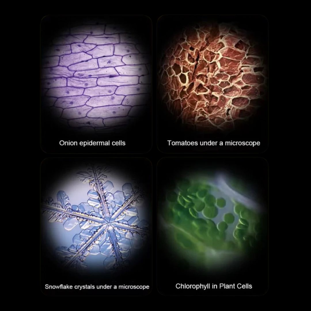 Skorter | CURIOUS MIND SCIENCE SCOPE – Montessori-Inspired Kids Microscope for Exploration & STEM Learning