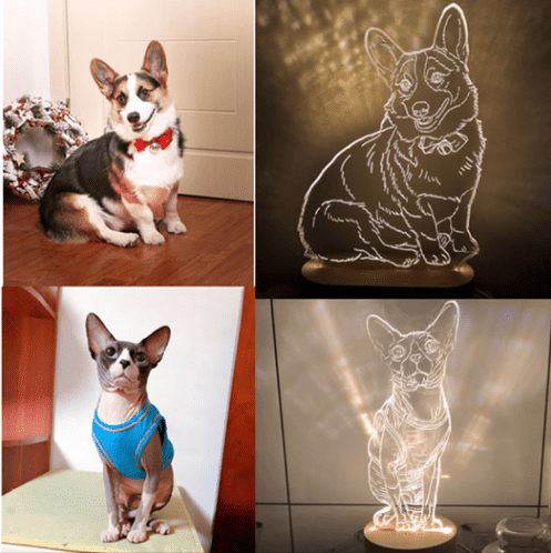 Skorter | Customized 3D Lamp