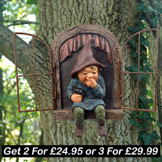 Skorter | Cute Peeking Gnome