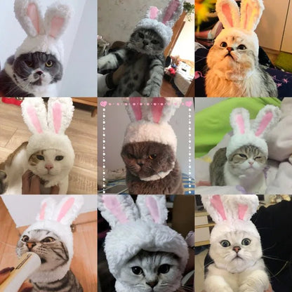 Skorter | Cute Rabbit Hat for Pets – Perfect for New Year & Christmas Cosplay, Party Photo Props