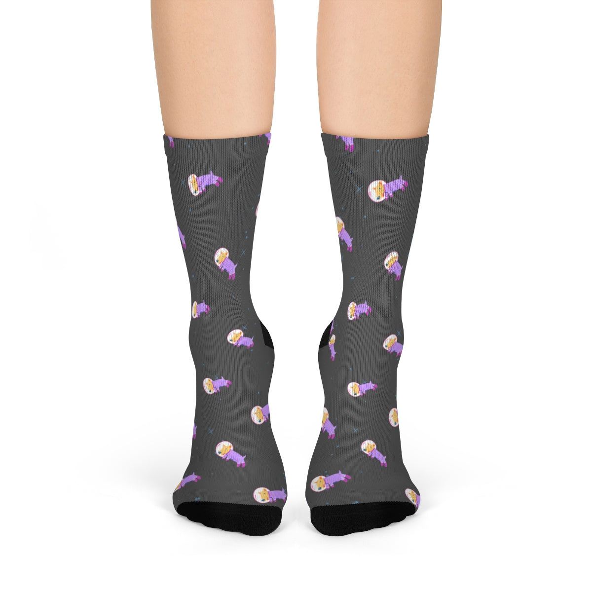 Skorter | Dog in Space Fun Socks