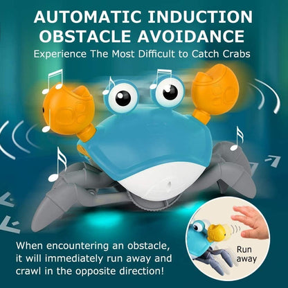 Skorter | Crawling Crab Sensory Educational Toy