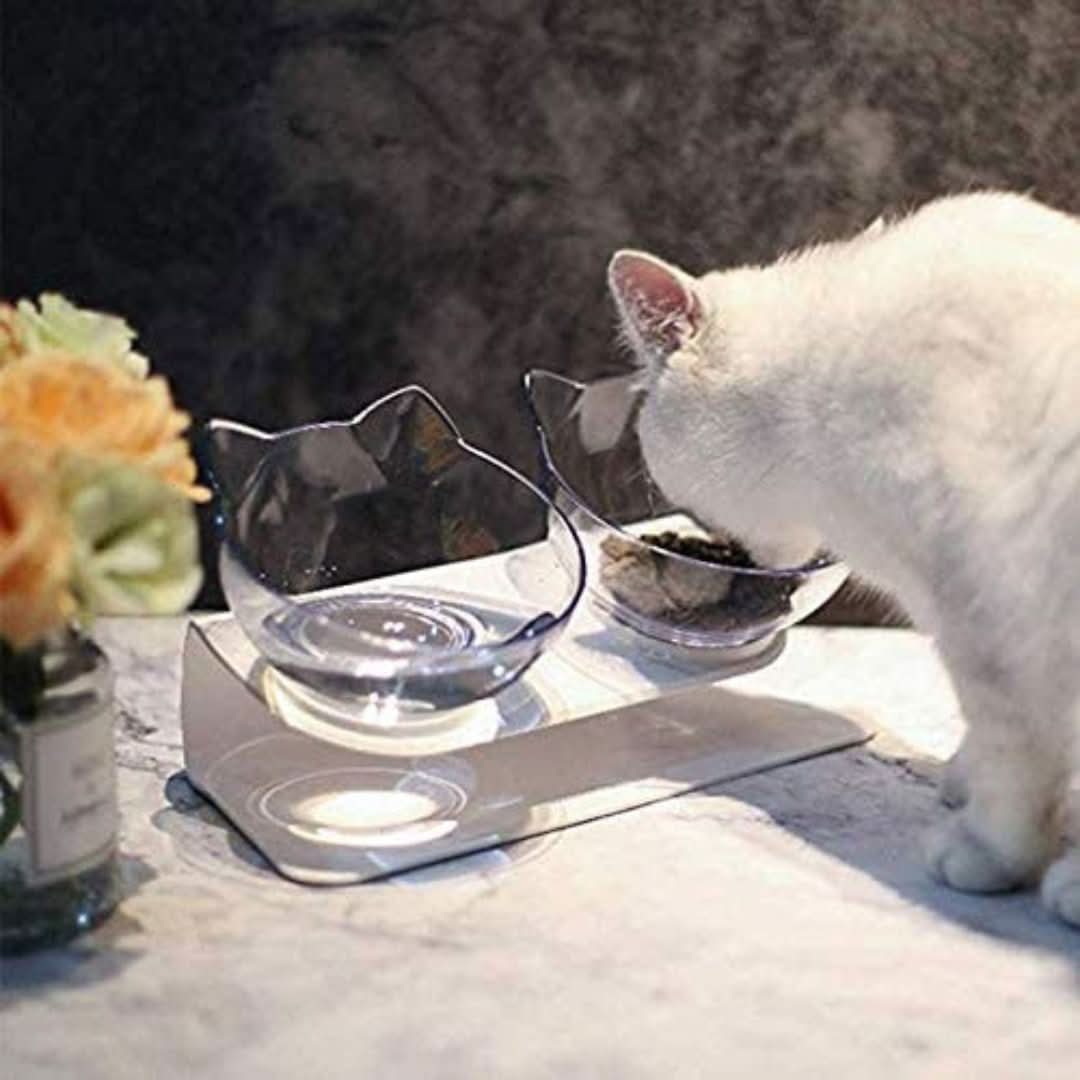 Skorter | Ergonomic Cat Bowl
