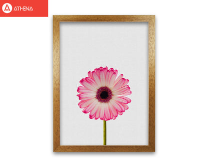 Skorter | Daisy Still Life Print By Orara Studio, Framed Botanical & Nature Art Print