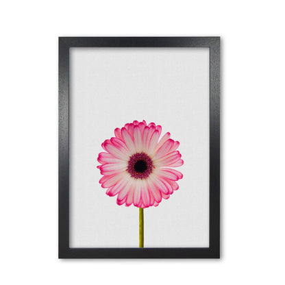 Skorter | Daisy Still Life Print By Orara Studio, Framed Botanical & Nature Art Print