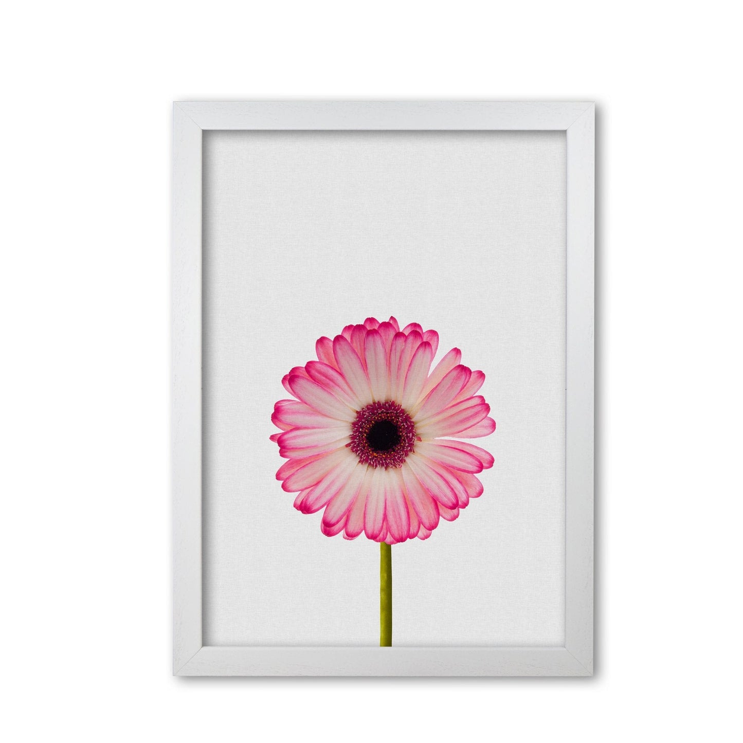 Skorter | Daisy Still Life Print By Orara Studio, Framed Botanical & Nature Art Print
