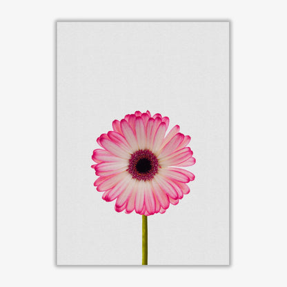 Skorter | Daisy Still Life Print By Orara Studio, Framed Botanical & Nature Art Print
