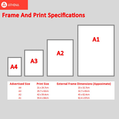 Skorter | Daisy Still Life Print By Orara Studio, Framed Botanical & Nature Art Print