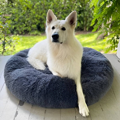 Skorter | Calming Dog Bed