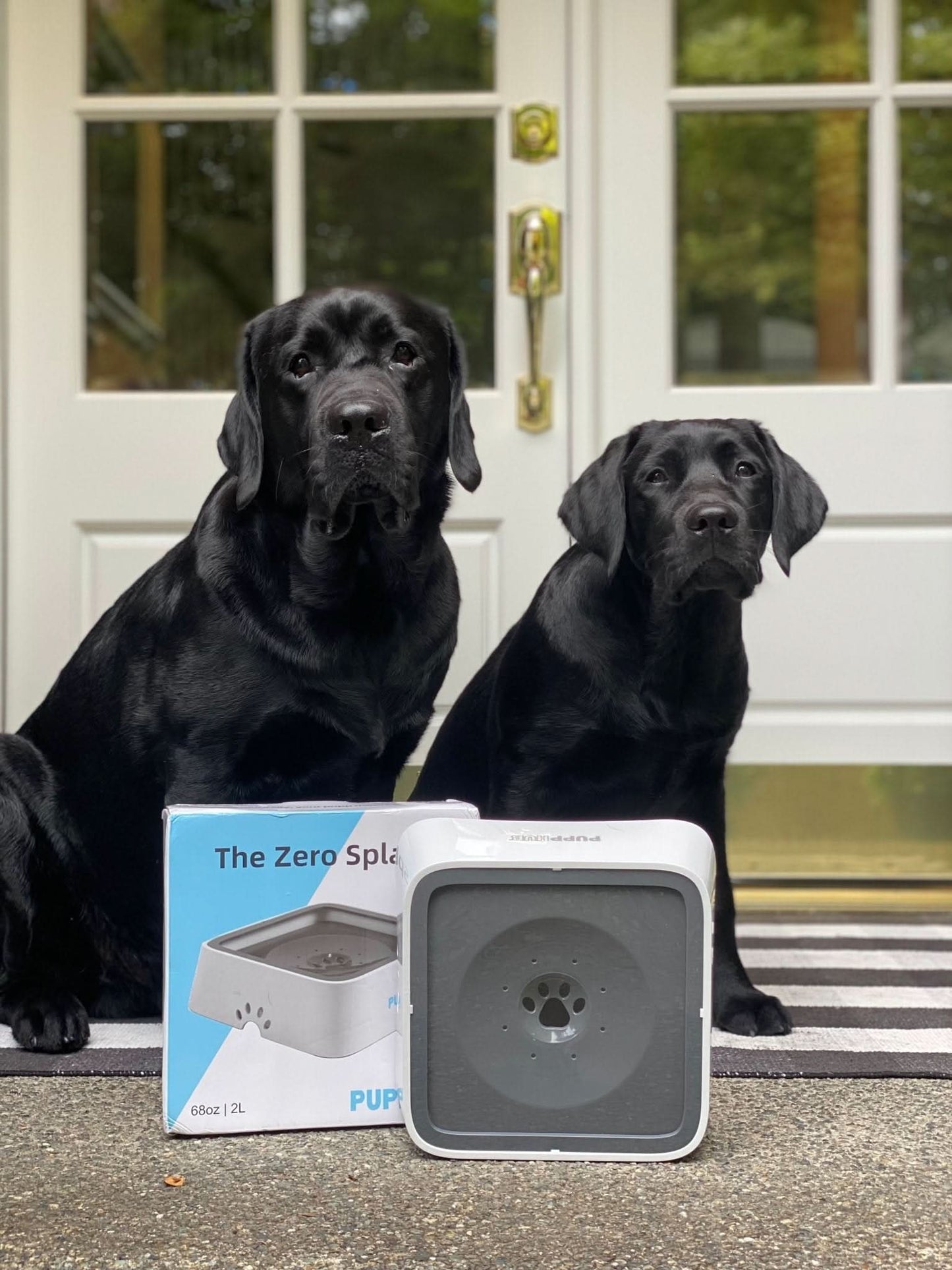 Skorter | De Zero Splash