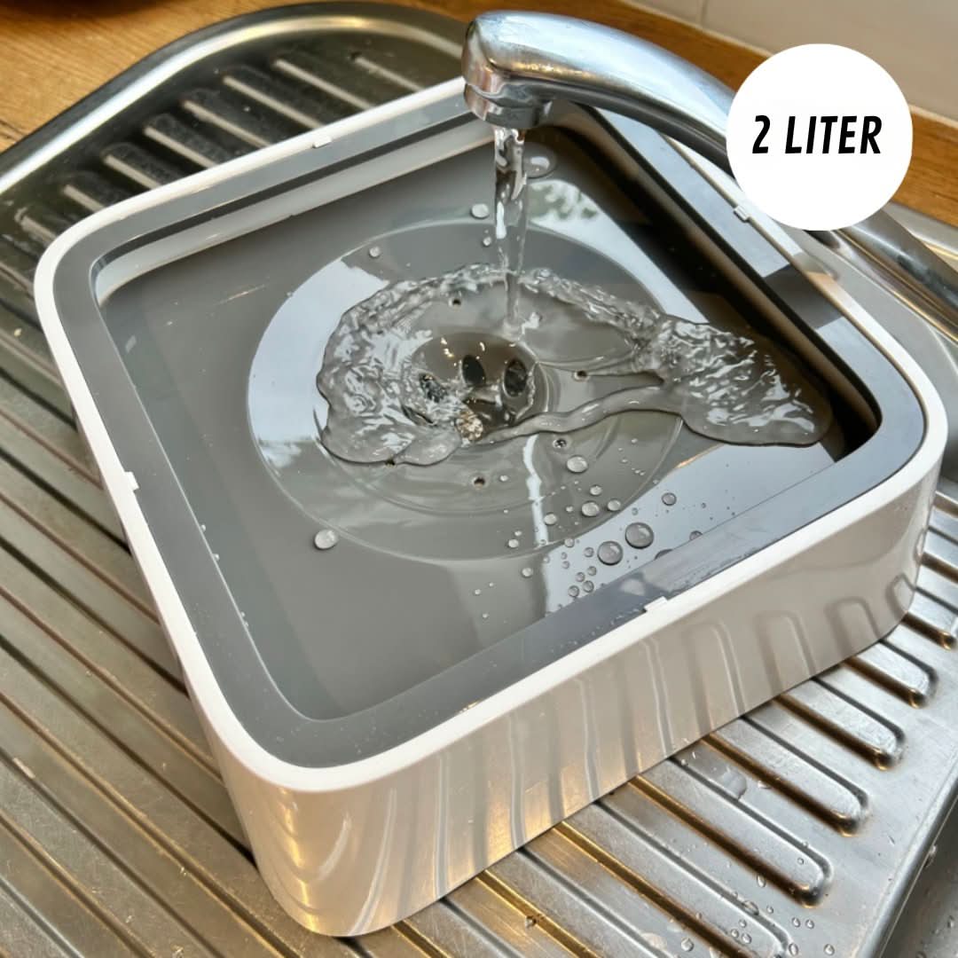 Skorter | De Zero Splash