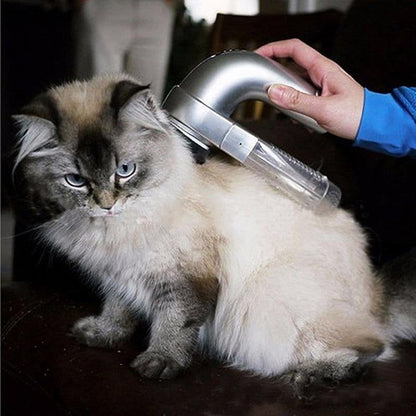 Skorter | Best handheld vacuum for pet hair