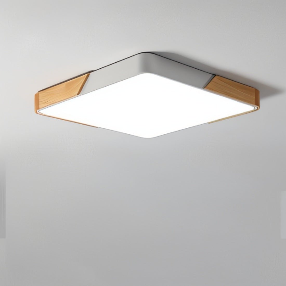 Skorter | Modern LED Ceiling Light - Minimalist Lighting for Your Interior