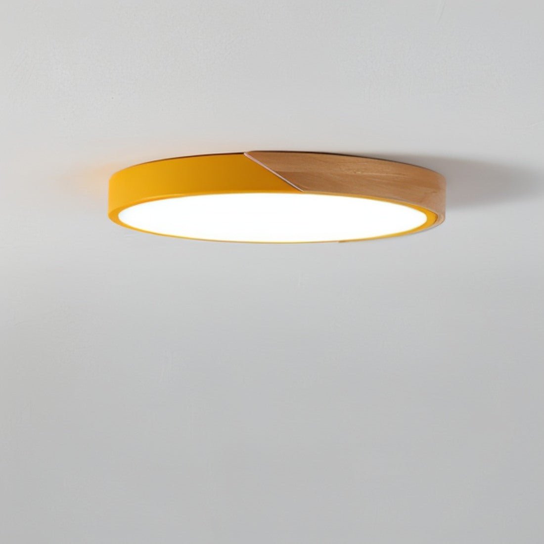 Skorter | Modern LED Ceiling Light - Minimalist Lighting for Your Interior