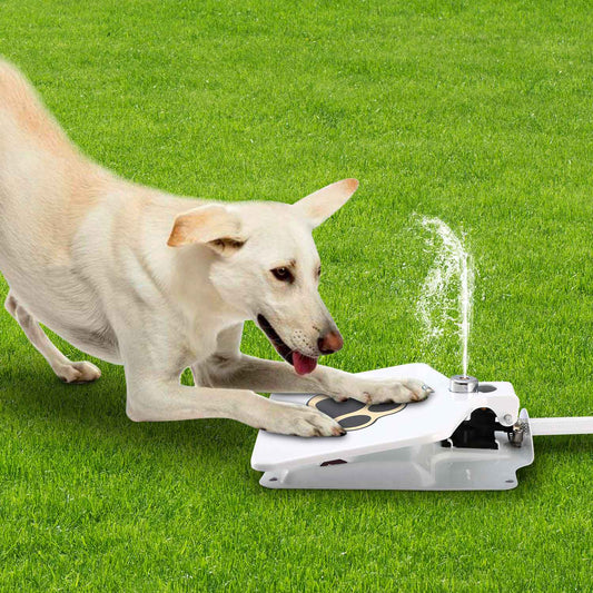 Skorter | Dog Water Fountain
