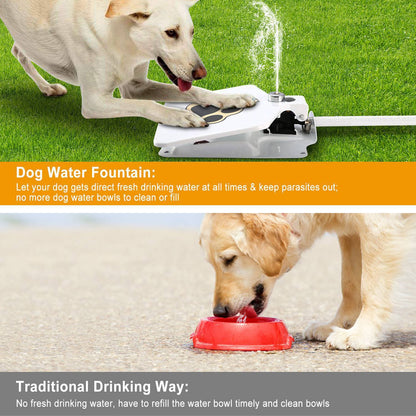 Skorter | Dog Water Fountain