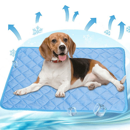 Skorter | DogCool – Self-Cooling Dog Mat for Hot Summer Days