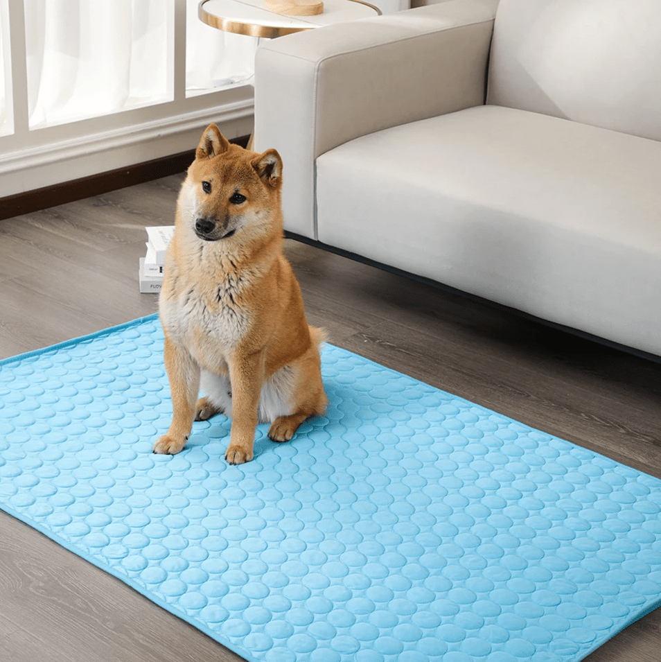 Skorter | DogCool – Self-Cooling Dog Mat for Hot Summer Days